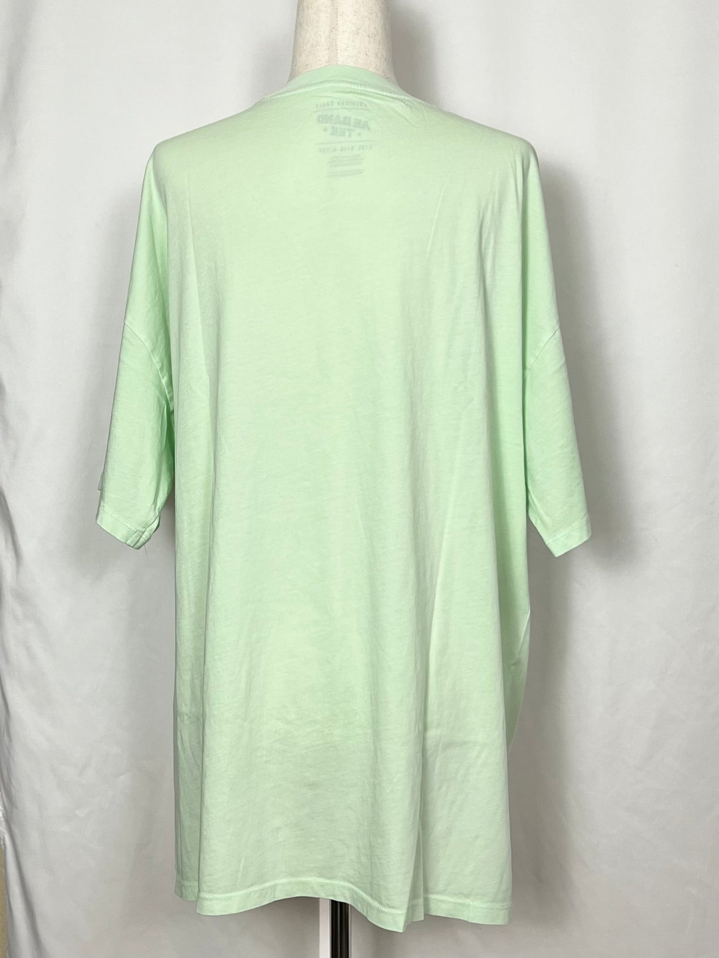 American Eagle AE Band Women's Oversized Graphic Tee