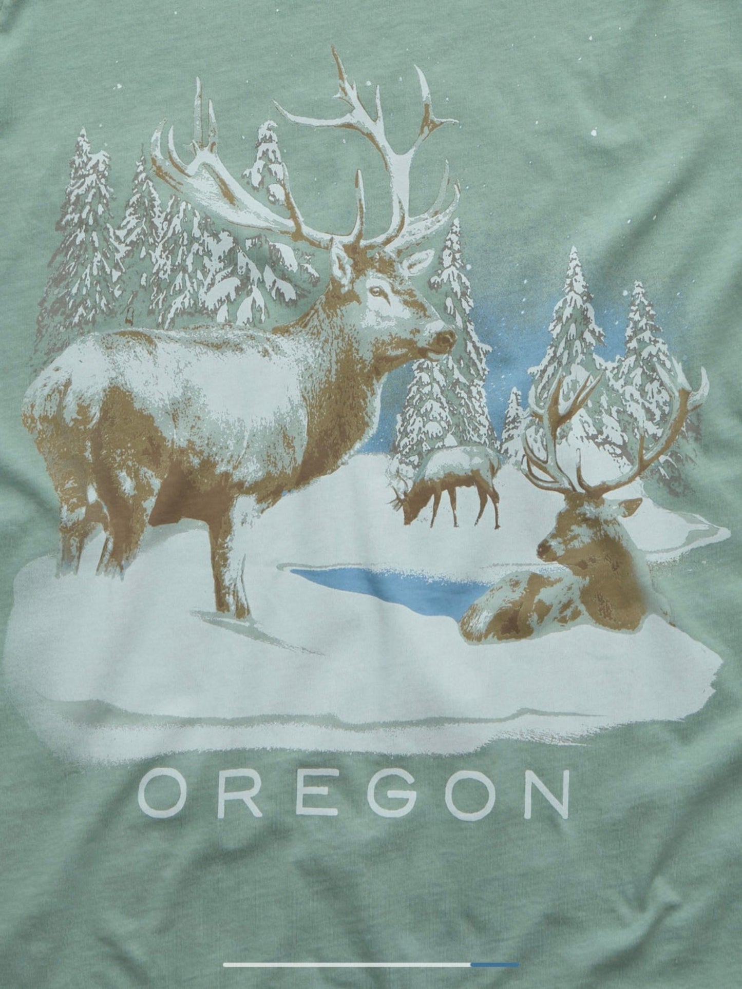 AE Oregon Holiday Graphic T-Shirt