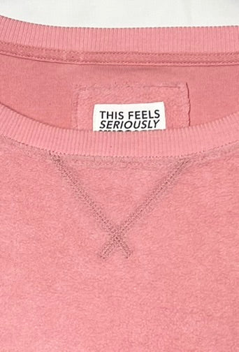 American Eagle Women's Big Hug Crew Neck Oversized Sweatshirt