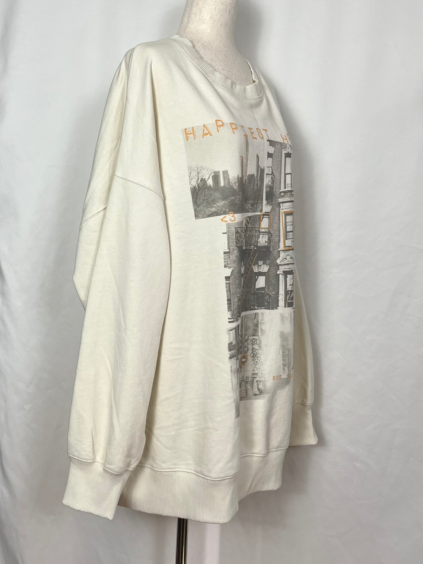 American Eagle Crew Neck Women's Oversized Sweatshirts