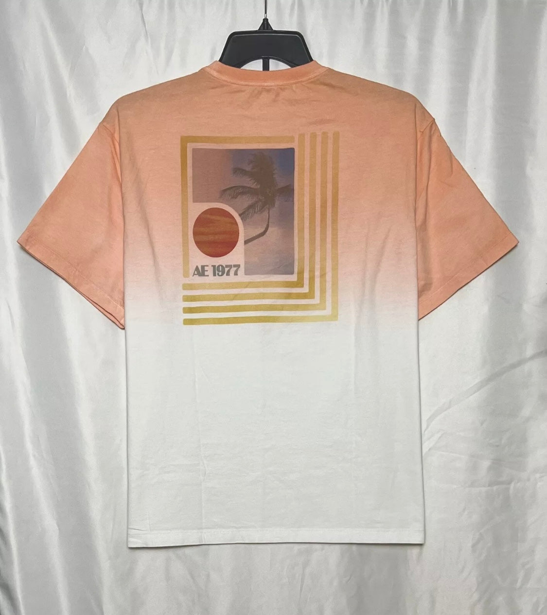 American Eagle Men's Cotton Supper Soft Standard Fit Graphic T-Shirt.